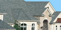 Shingle Roof 1